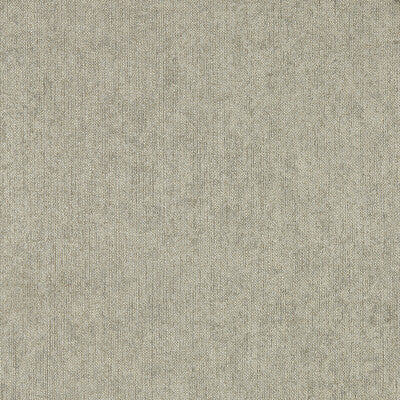 CLARKE AND CLARKE ZW0212/02.CAC.0 TEXO PEBBLE WP Fabric - CLARKE & CLARKE EXPRESSIONS PERFORMANCE WALLCOVERING
