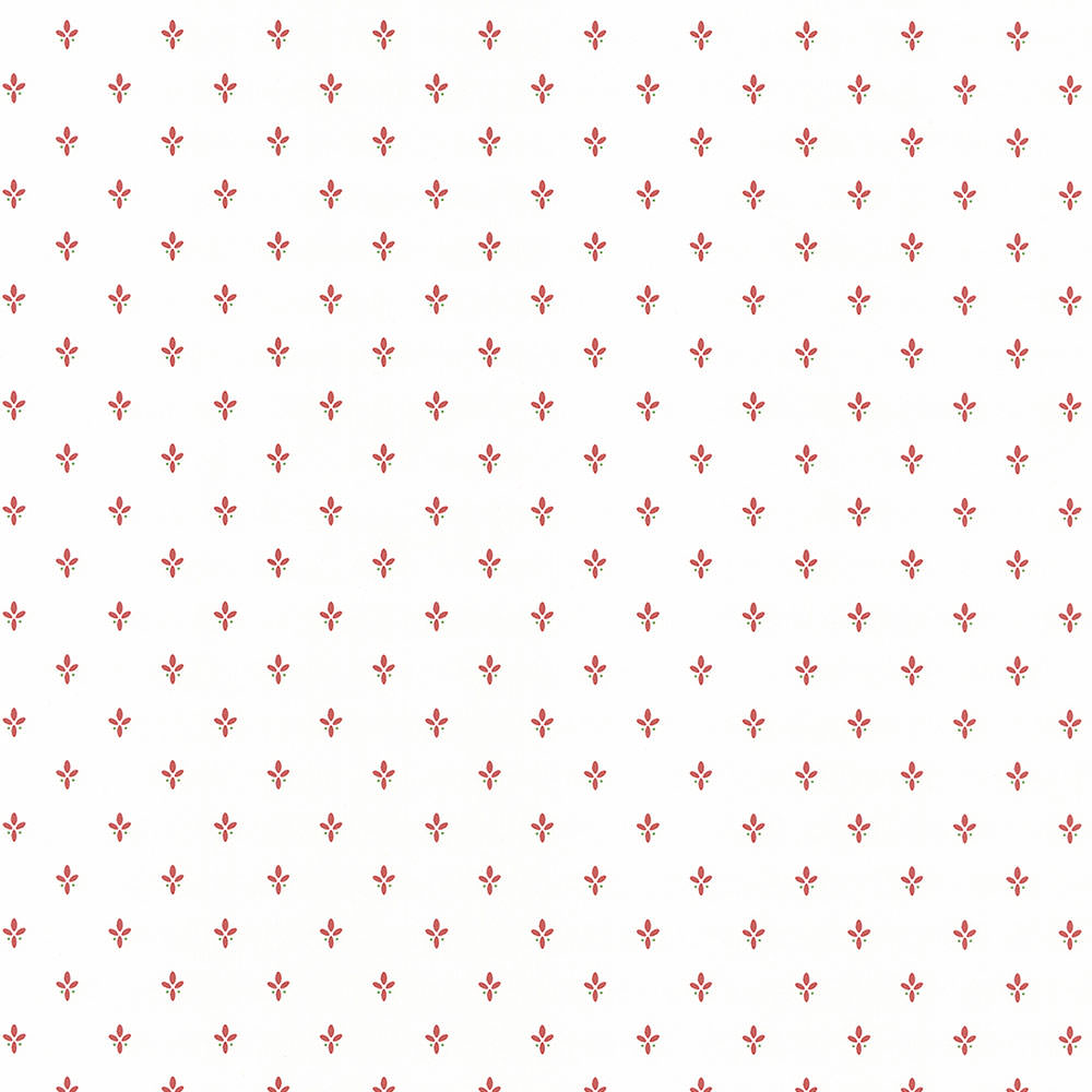 Patton / Norwall FK MK25303 Kitchen