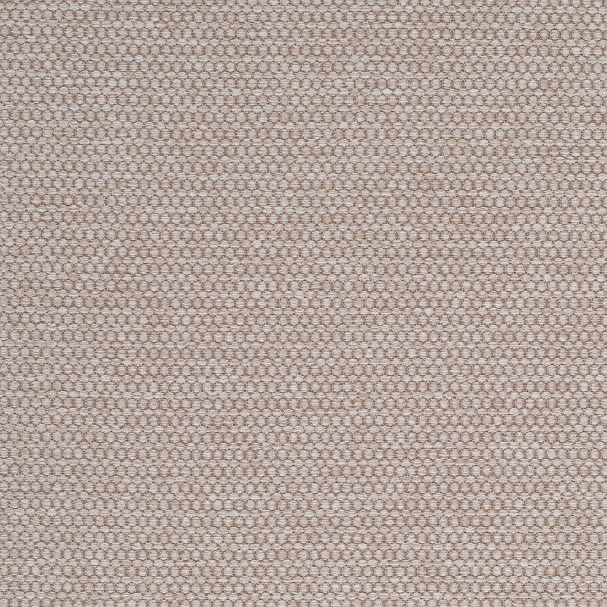 Mitchell MP FF-2308-21 Solid,Texture Sampson-Buckwheat - Eade's Wallpaper