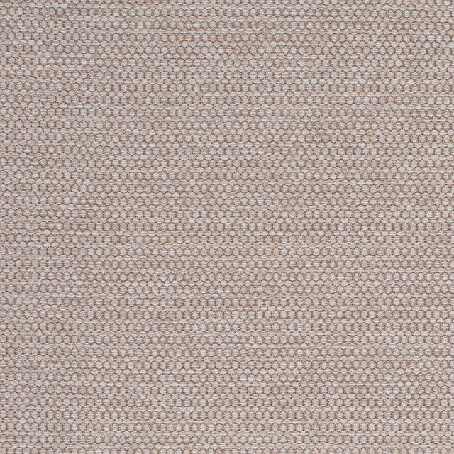 Mitchell MP FF-2308-21 Solid,Texture Sampson-Buckwheat - Eade's Wallpaper