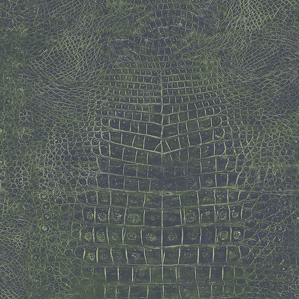 Patton / Norwall NFX G67505 Texture