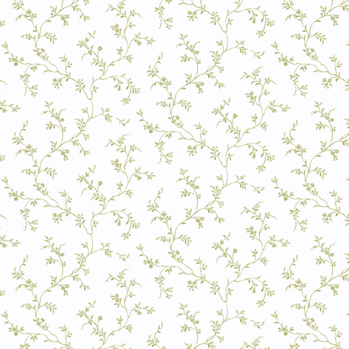 Patton / Norwall PF PF38112 Traditional