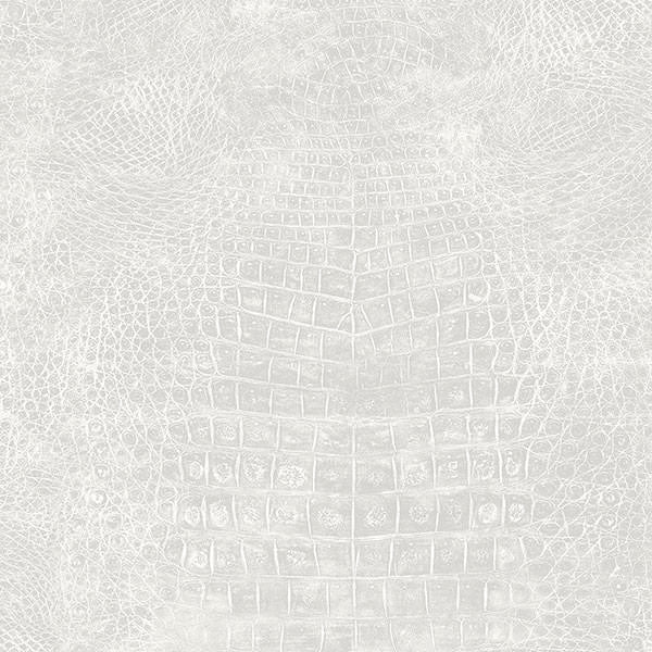 Patton / Norwall NFX G67509 Texture