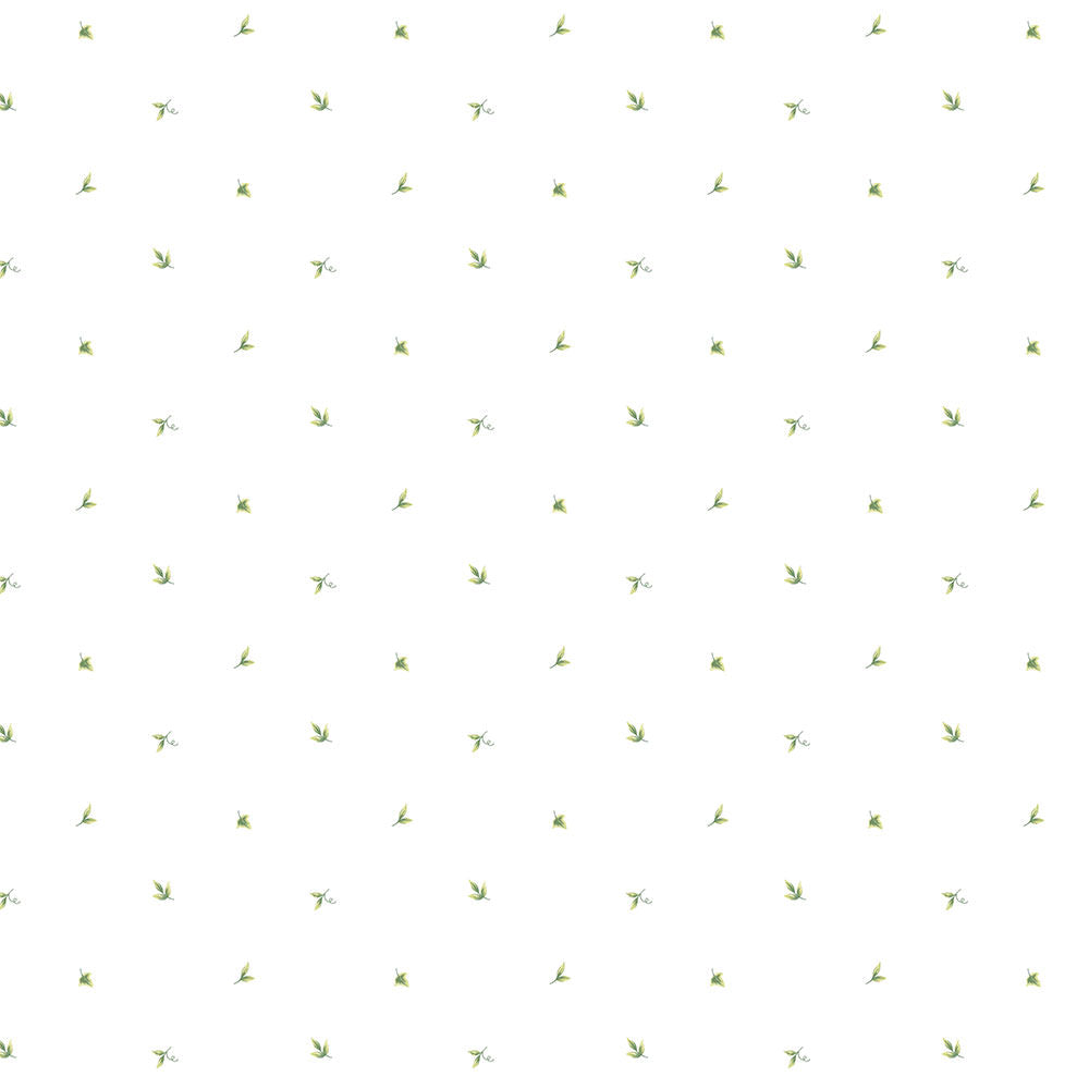 Patton / Norwall CK CK36600 Botanical