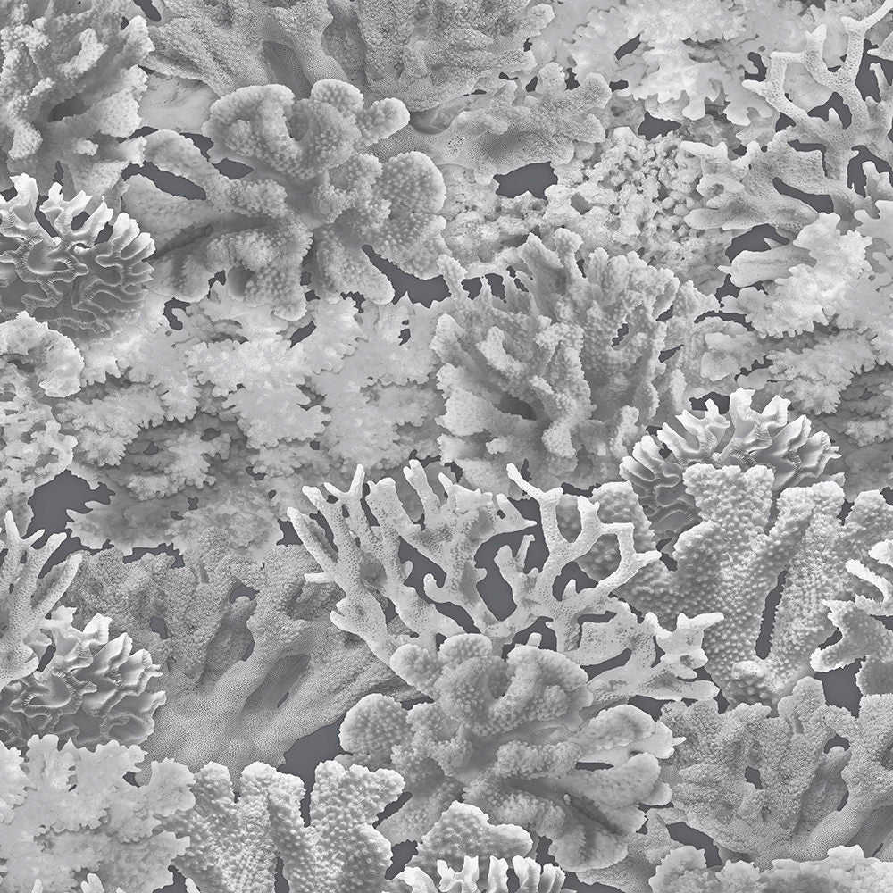 Patton / Norwall FL FH37503 Novelty