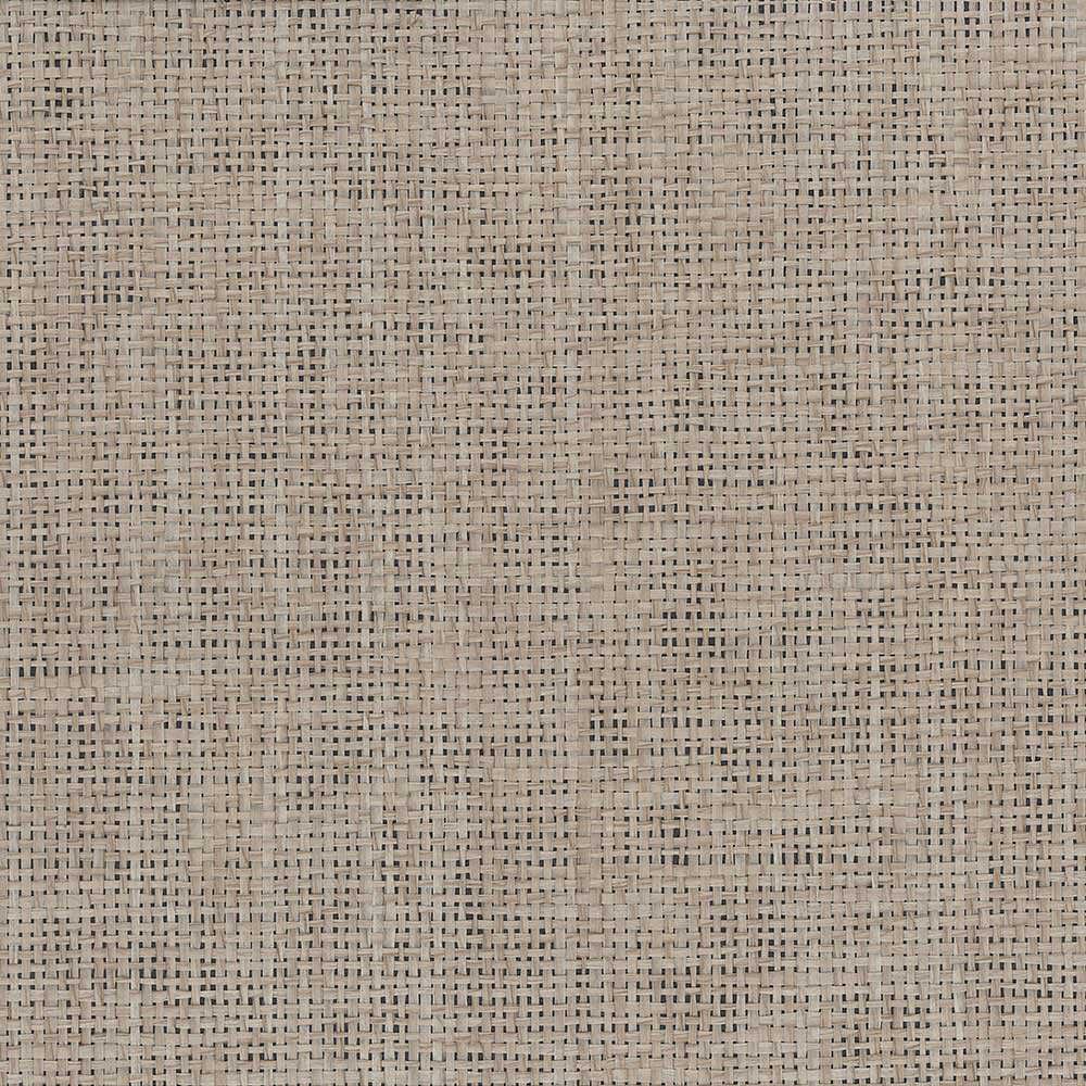 Patton / Norwall DG 488-427 Grasscloth