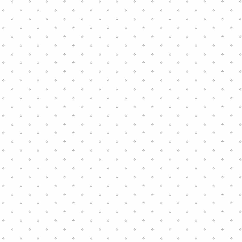 Patton / Norwall CK CK36605 Spot