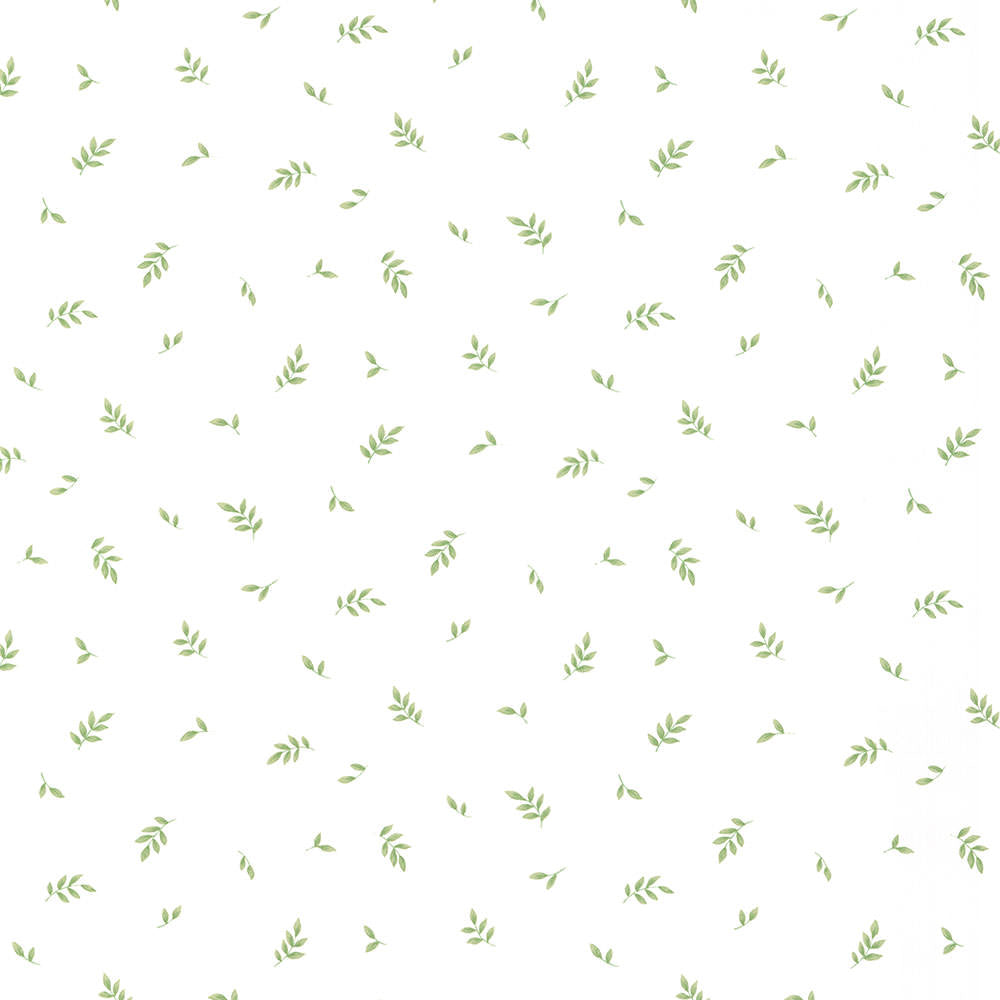 Patton / Norwall CK KB25621 Botanical