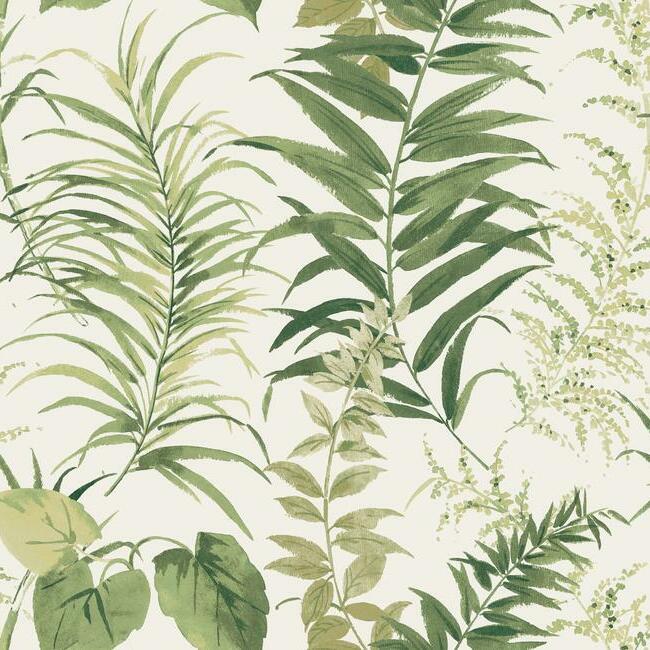 York RMK11428M Fern Forest Wall Mural - Eade's Wallpaper