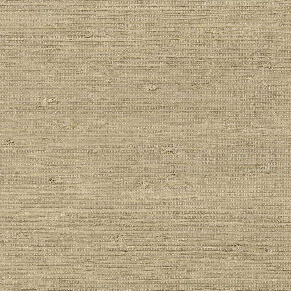 Patton / Norwall DG 488-418 Grasscloth