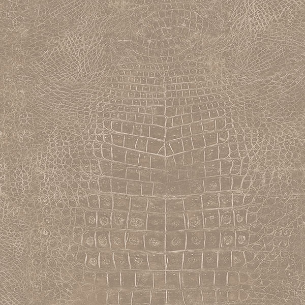 Patton / Norwall NFX G67503 Texture