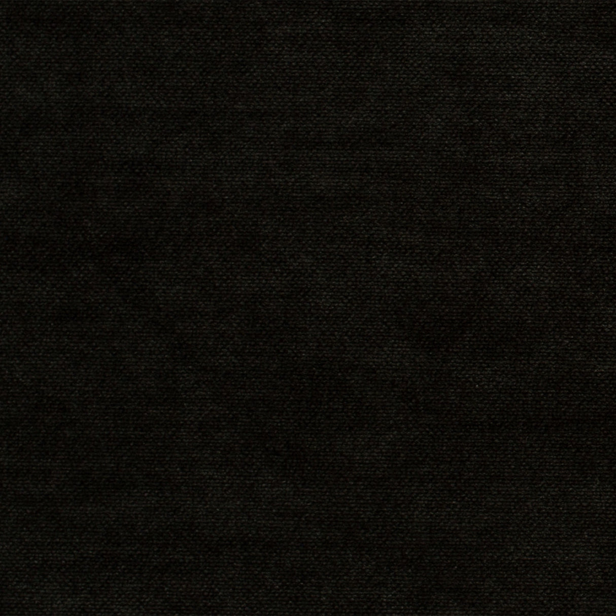 Mitchell MP FF-2403-02 Solid Comfy-Black - Eade's Wallpaper
