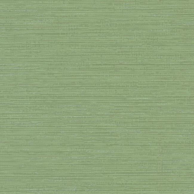 York TL6128N Fine Line High Performance Wallpaper - Eade's Wallpaper