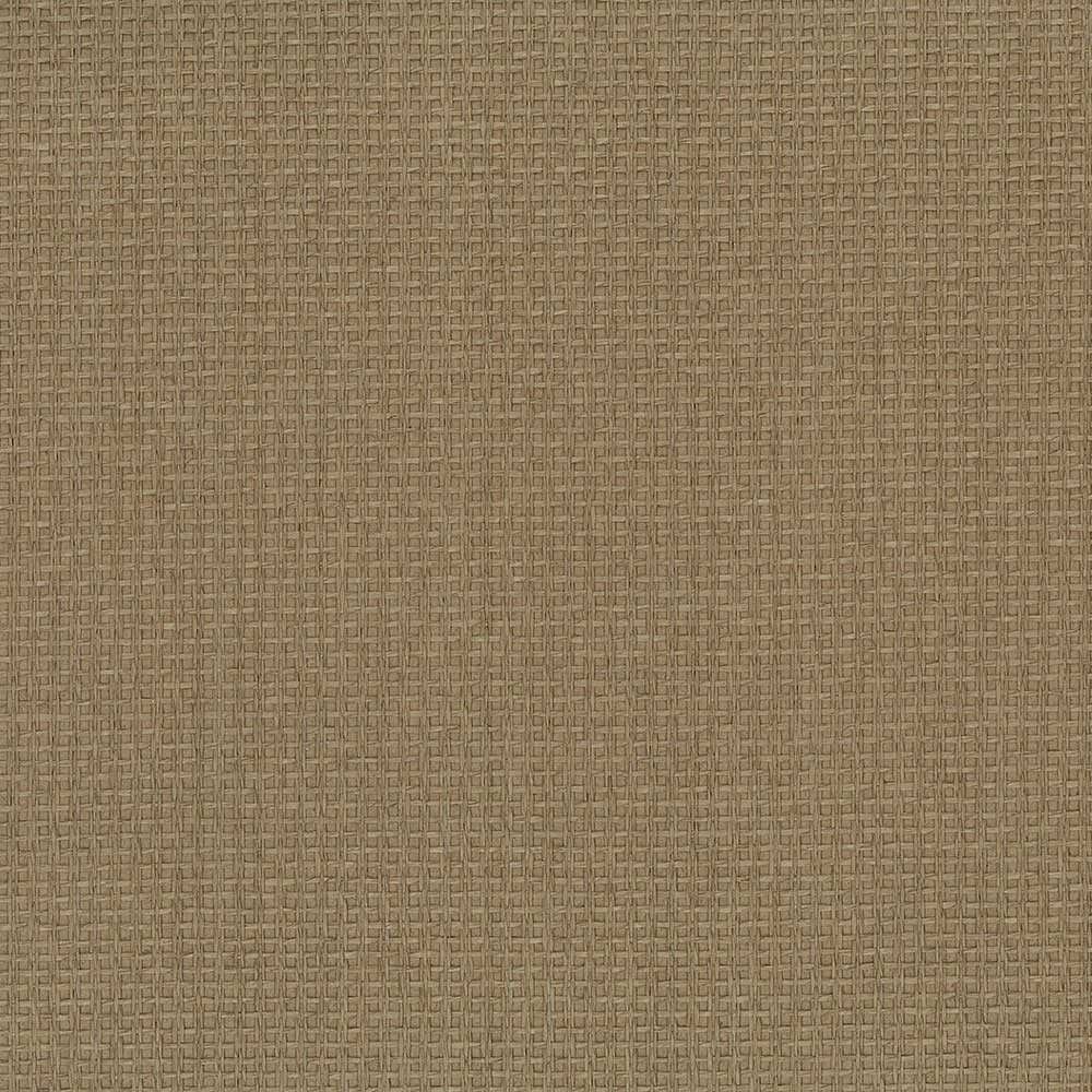 Patton / Norwall DG 488-425 Grasscloth