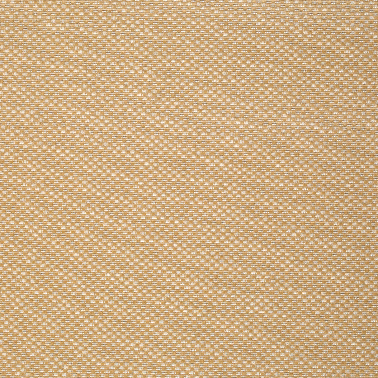 Mitchell MDS FF-2404-05 Geometric,Small Scale Burnswark-Gold - Eade's Wallpaper