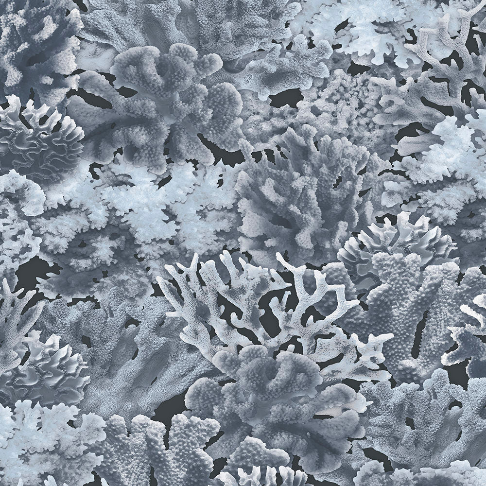 Patton / Norwall FL FH37504 Novelty