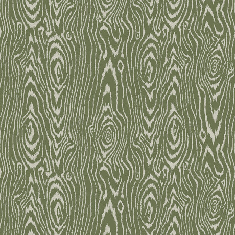 Maxwell 261420001 EUCLID (WP) #602 BASIL