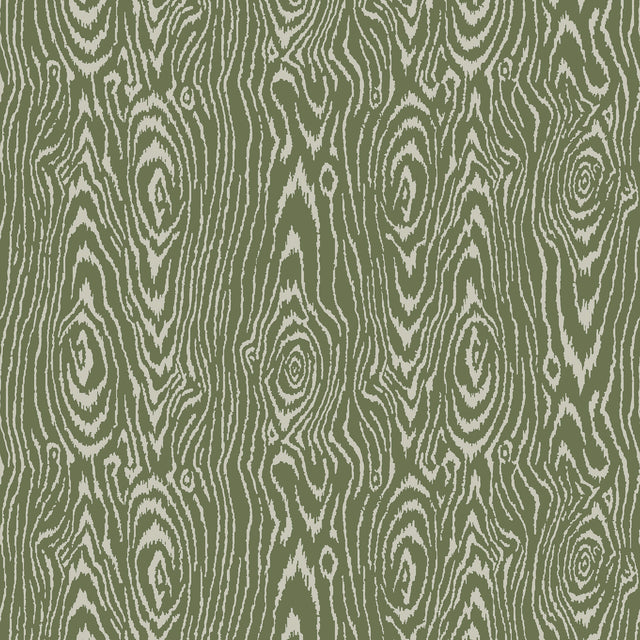 Maxwell 261420001 EUCLID (WP) #602 BASIL