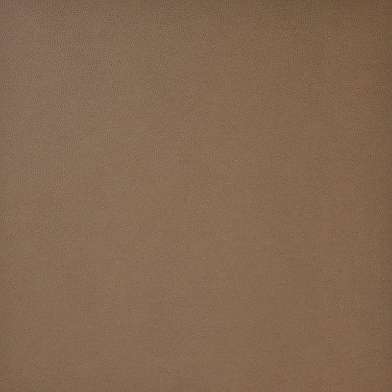 Maxwell PQ5013 PONY EXPRESS # 013 RAM Fabric