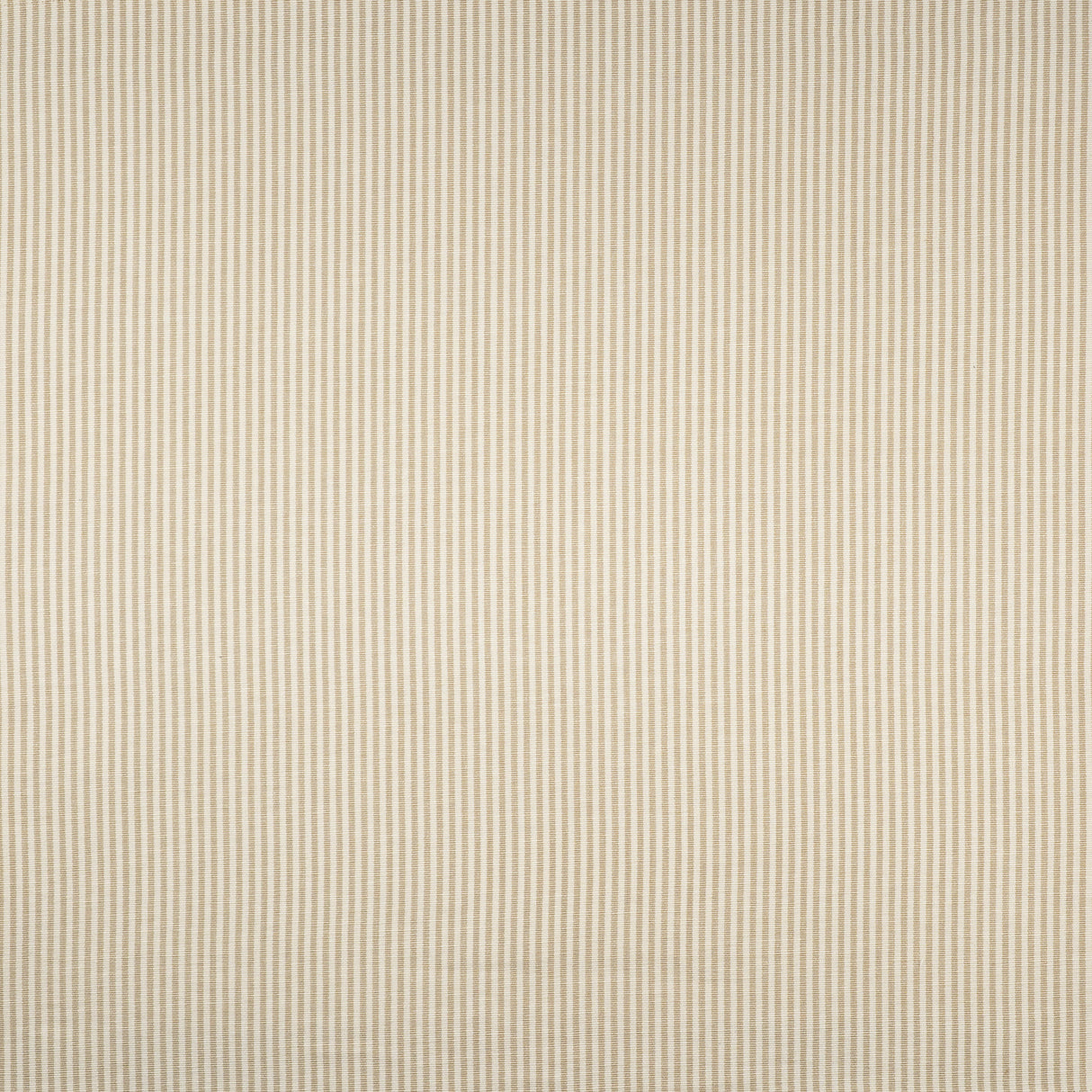 Maxwell LT2725 LOGAN # 725 TAN
