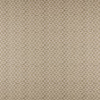 Maxwell KA0541 KODI # 541 PEBBLE