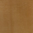 Telafina BFN705 BENNETT # 705 BUTTERSCOTCH