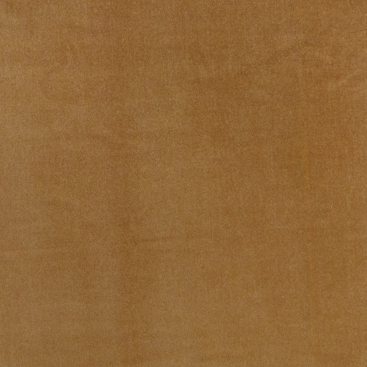 Telafina BFN705 BENNETT # 705 BUTTERSCOTCH