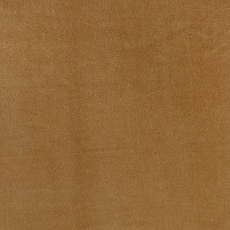 Telafina BFN705 BENNETT # 705 BUTTERSCOTCH