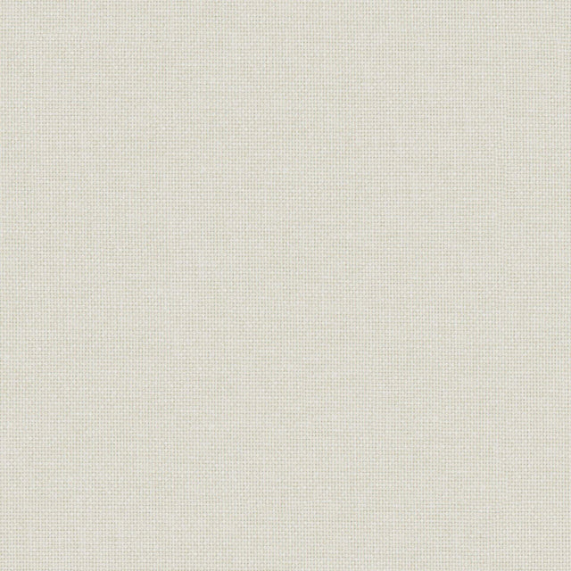 Maxwell VC3101 VALENTINA # 101 MERINGUE