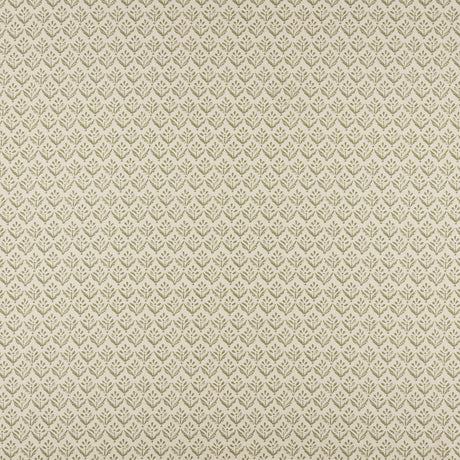 Maxwell AV4503 ASTER # 503 SAGE