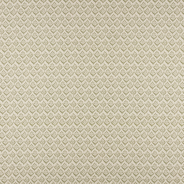 Maxwell AV4503 ASTER # 503 SAGE