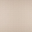 Maxwell AV4526 ASTER # 526 LILAC