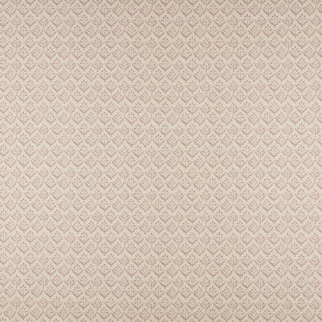 Maxwell AV4526 ASTER # 526 LILAC