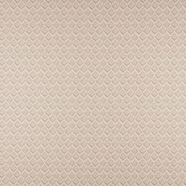 Maxwell AV4526 ASTER # 526 LILAC