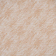 Maxwell GL5829 GARFIELD # 829 MELON