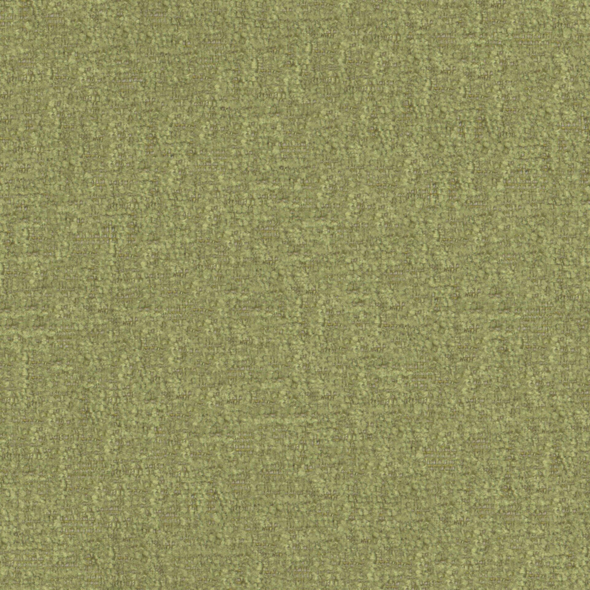 Maxwell BFA823 BRAVA # 823 DILL