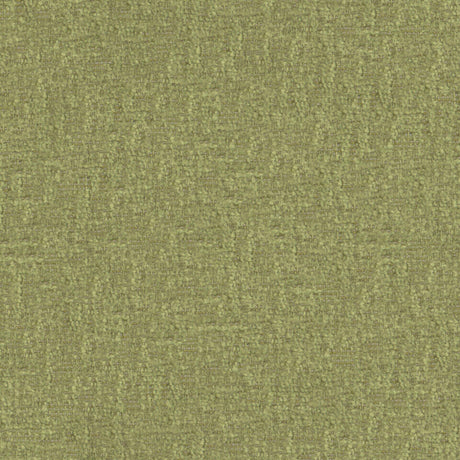 Maxwell BFA823 BRAVA # 823 DILL