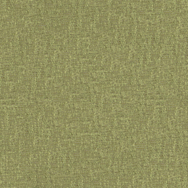 Maxwell BFA823 BRAVA # 823 DILL