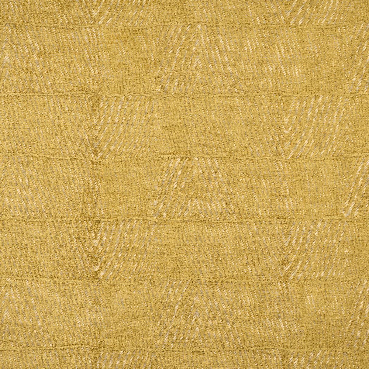 Maxwell PAX812 POPLAR # 812 CANARY