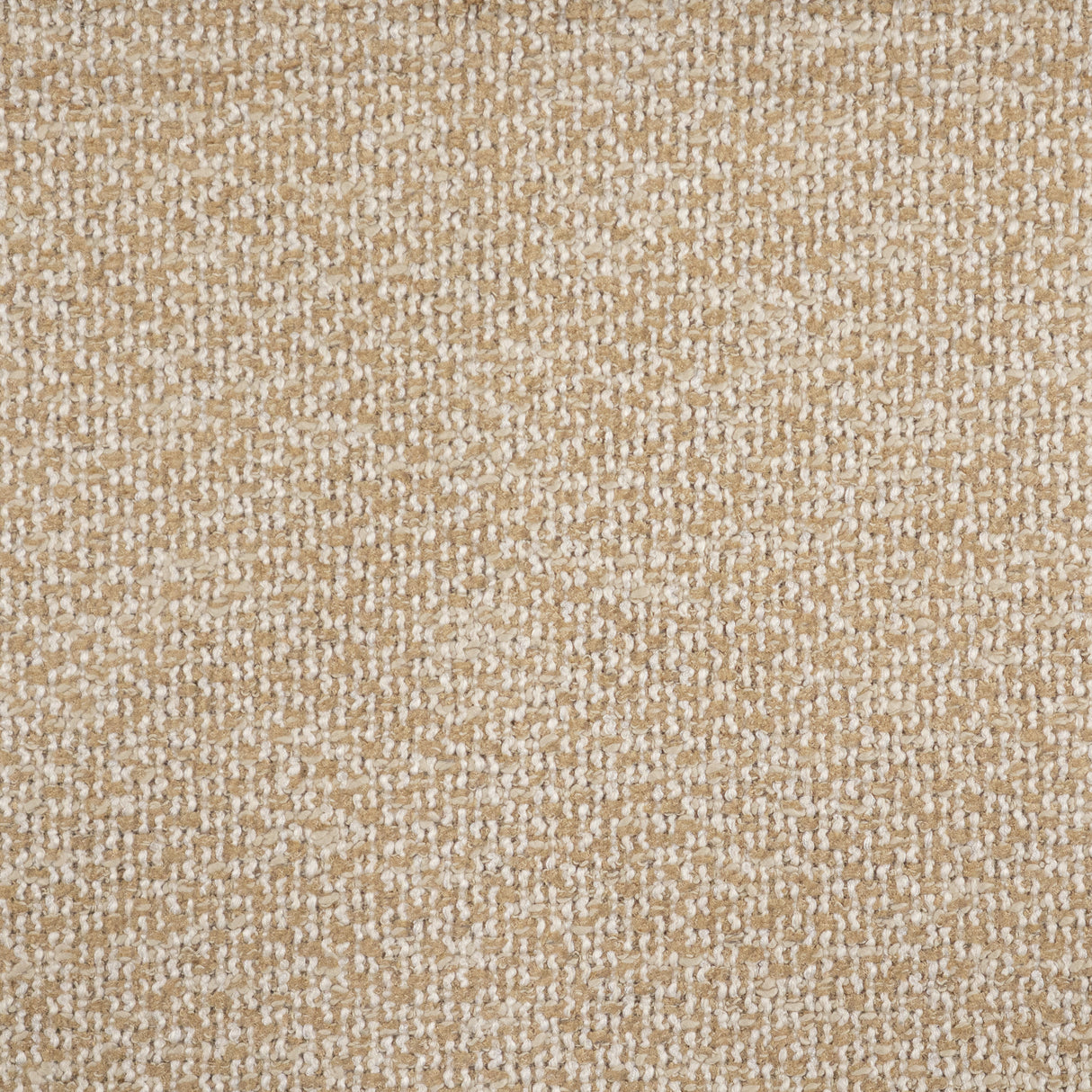 Telafina MBG404 MARVIN # 404 TAN