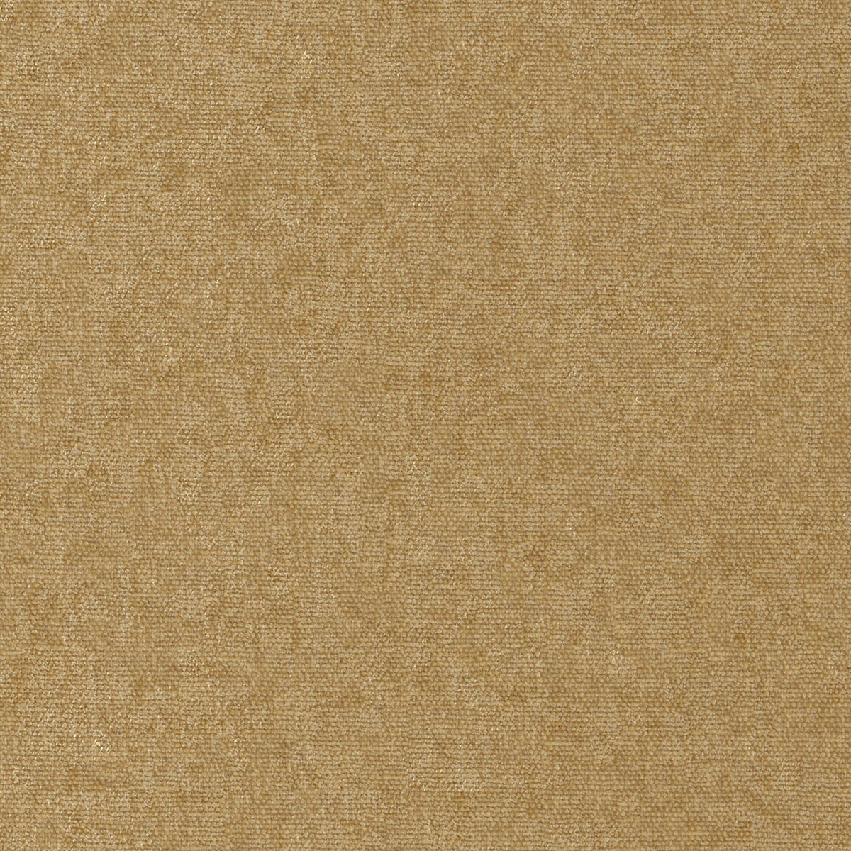 Maxwell CHE952 CONTE # 952 ANTELOPE Fabric