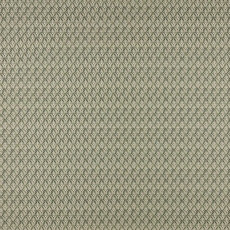 Maxwell SOM507 STRATTON # 507 IVY