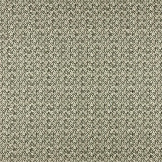 Maxwell SOM507 STRATTON # 507 IVY
