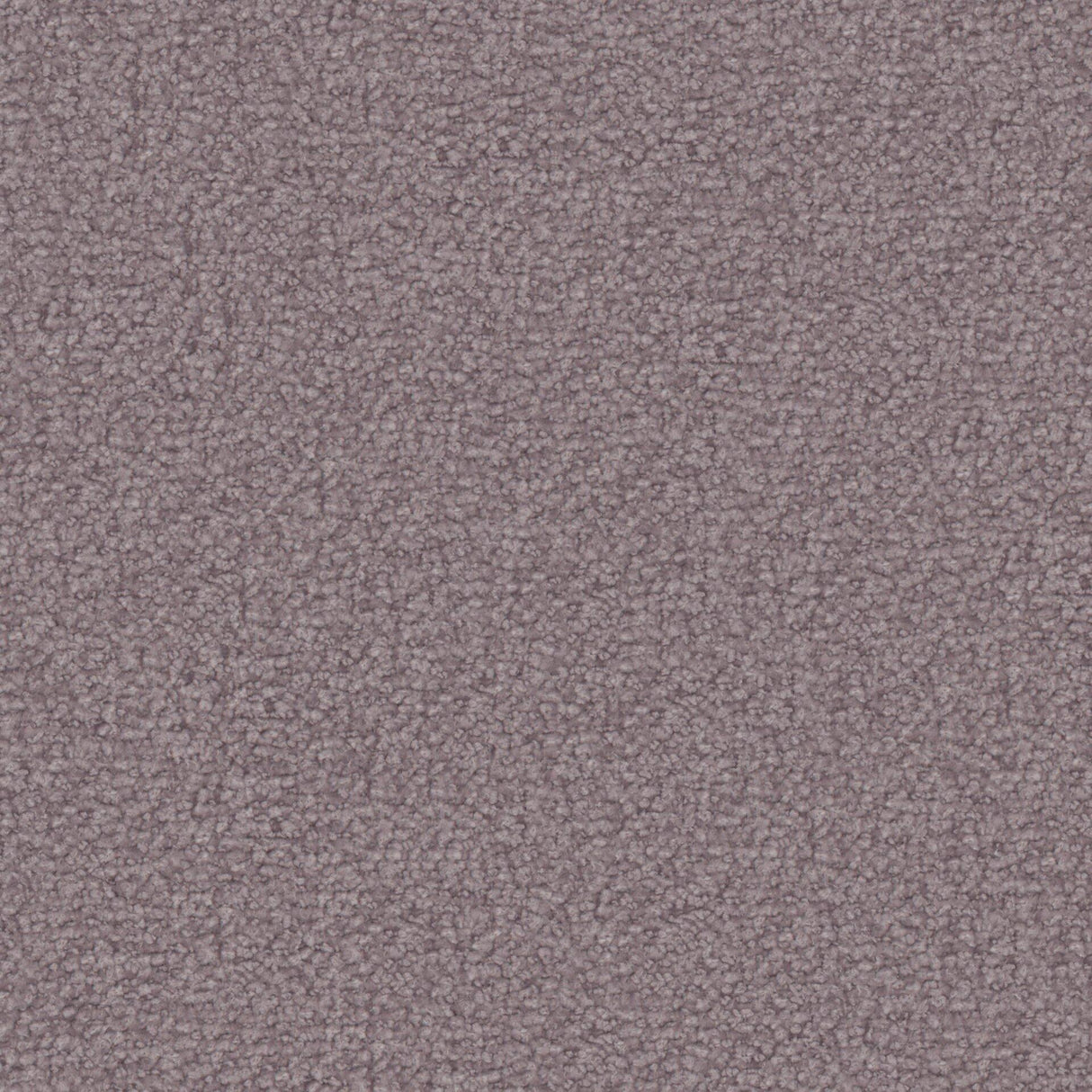 Maxwell TX1954 TEXEL # 954 PLUM