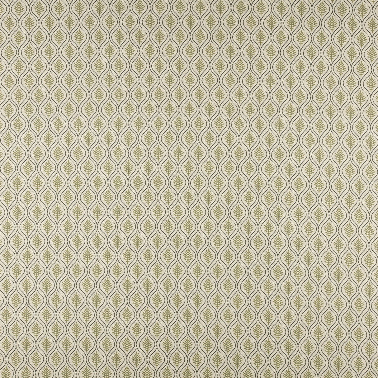Maxwell BFF505 BIRCH # 505 OLIVE