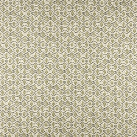Maxwell BFF505 BIRCH # 505 OLIVE