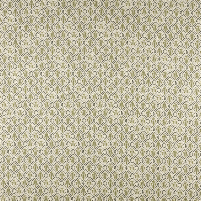 Maxwell BFF505 BIRCH # 505 OLIVE