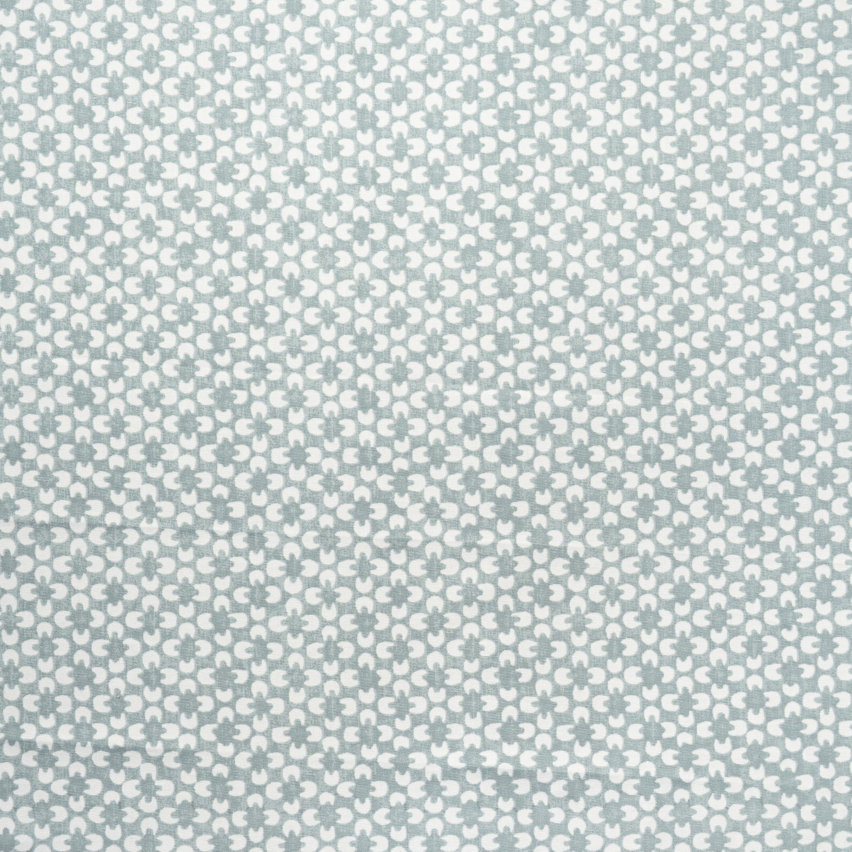 Maxwell RR6620 RYDER # 620 AQUAMARINE