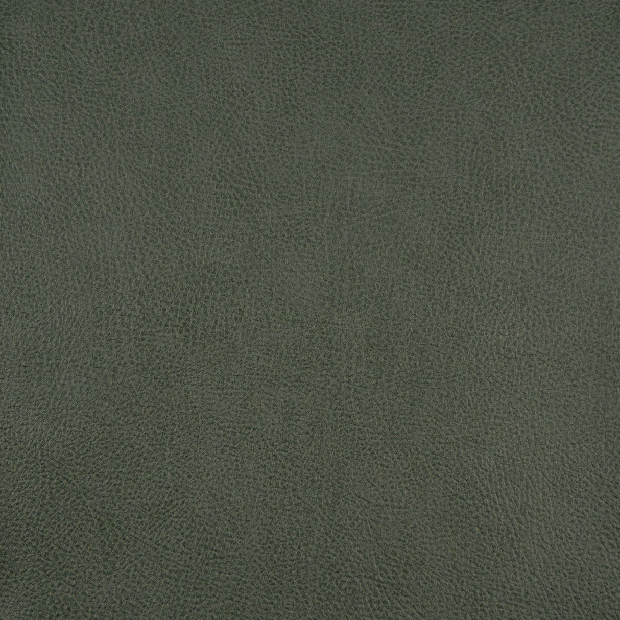Maxwell SOV823 SPUR # 823 CAPER