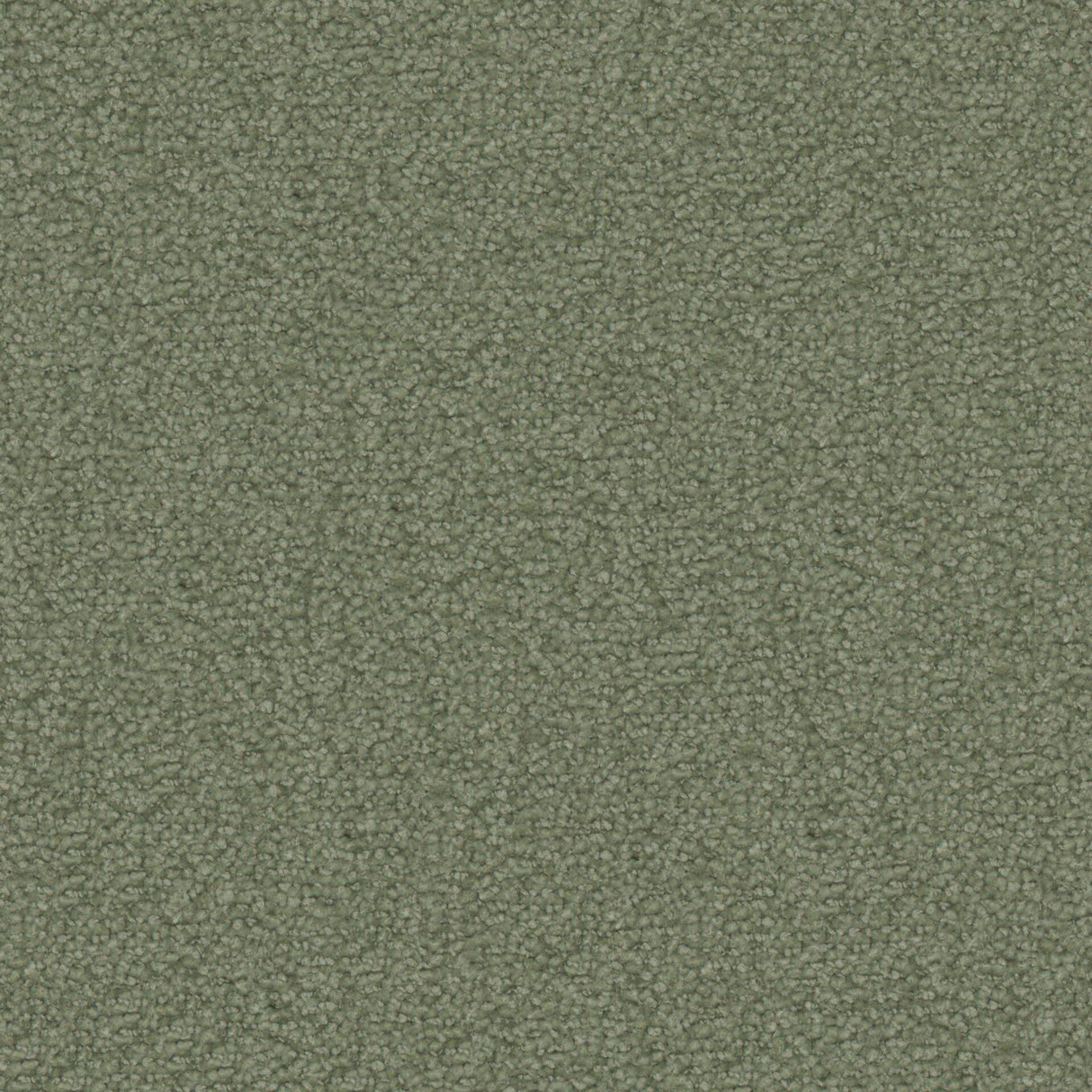 Maxwell TX11015 TEXEL # 1015 SAGE